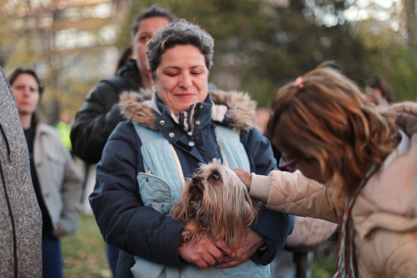 Снимка: Димитър Кьосемарлиев, Dnes.bg